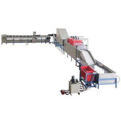 Vegetable sorting production line for Fruit Lemon mango  Avocado  olive Washing Waxing Drying Grading Machine